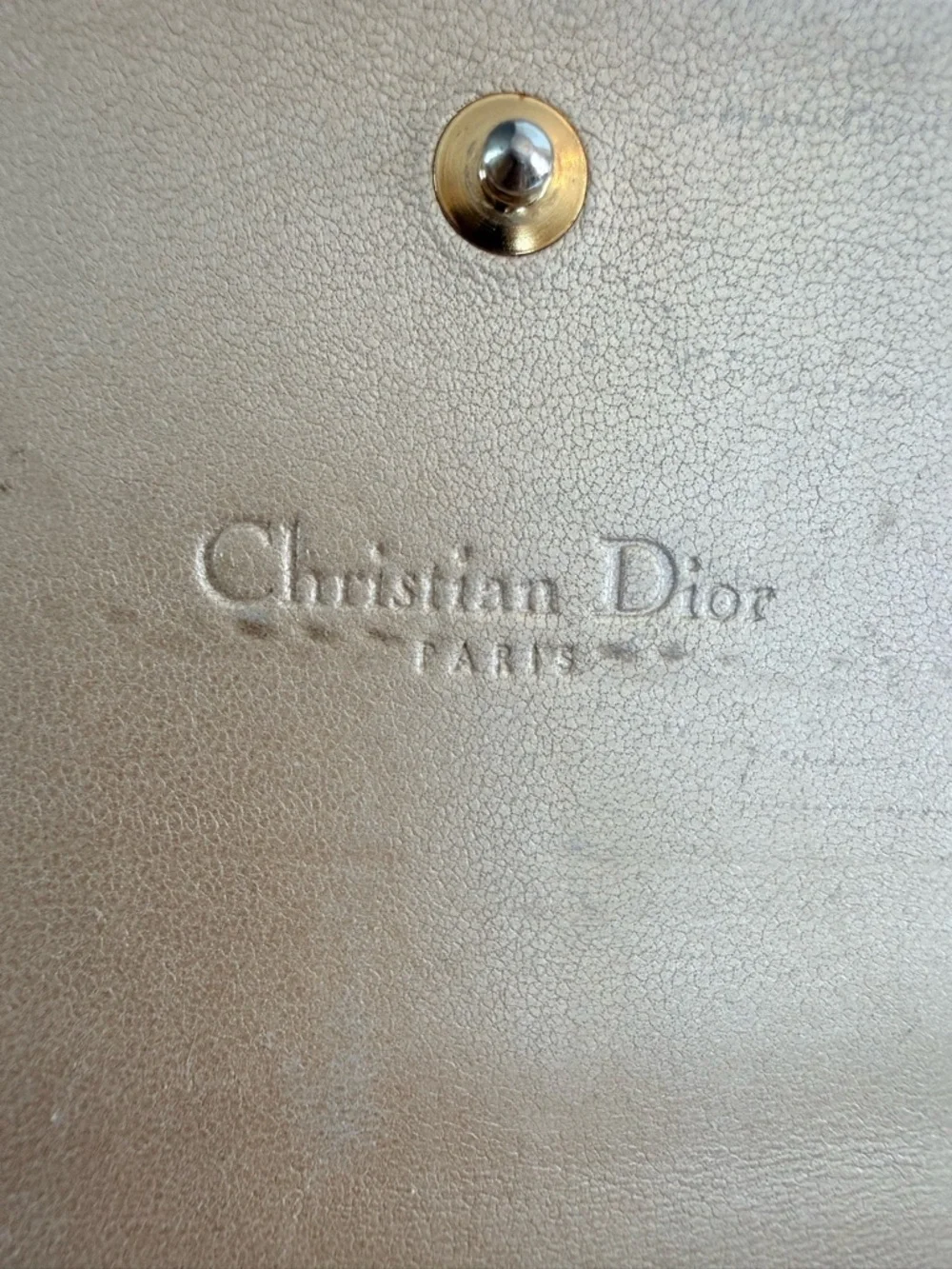 Dior elegant continental